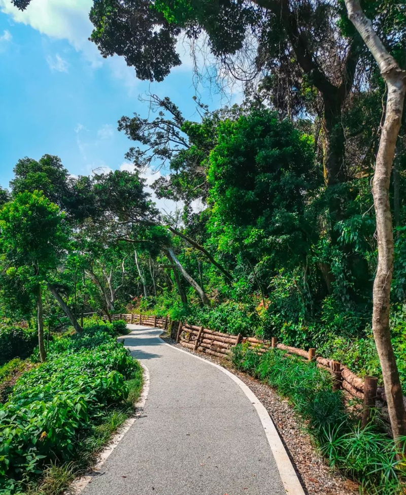 半山公園風景圖 (3).png