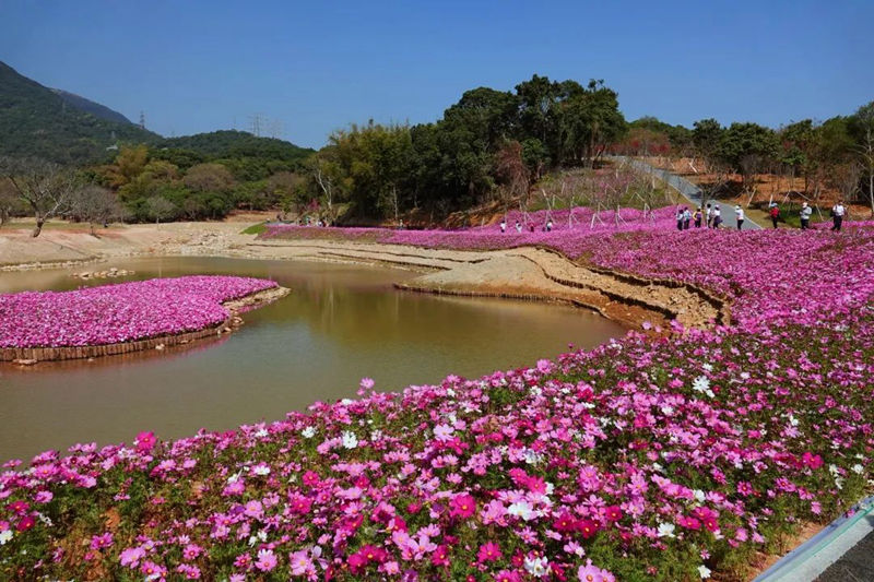 半山公園風景圖 (18).jpg
